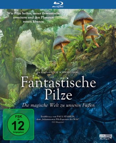 Fantastische Pilze - Die magische Welt zu unseren Füßen