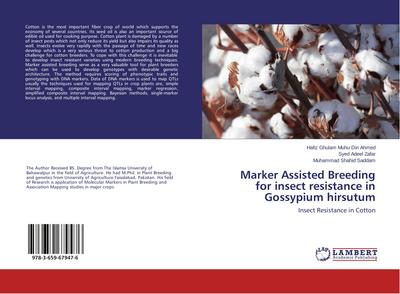 Marker Assisted Breeding for insect resistance in Gossypium hirsutum