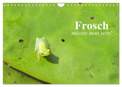 Frosch müsste man sein! (Wandkalender 2024 DIN A4 quer), CALVENDO Monatskalender