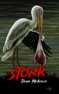 Stork