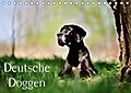 Deutsche Doggen / Geburtstagskalender (Tischkalend