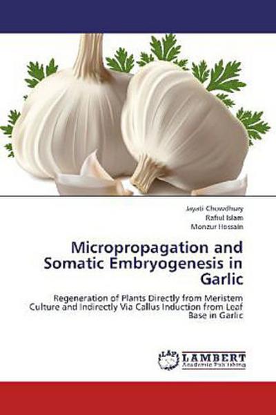 Micropropagation and Somatic Embryogenesis in Garlic