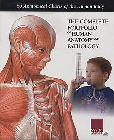 Complete Portfolio of Human Anatomy and Pathology
