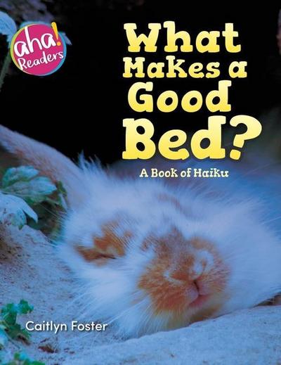 What Makes a Good Bed?