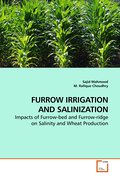 FURROW IRRIGATION AND SALINIZATION