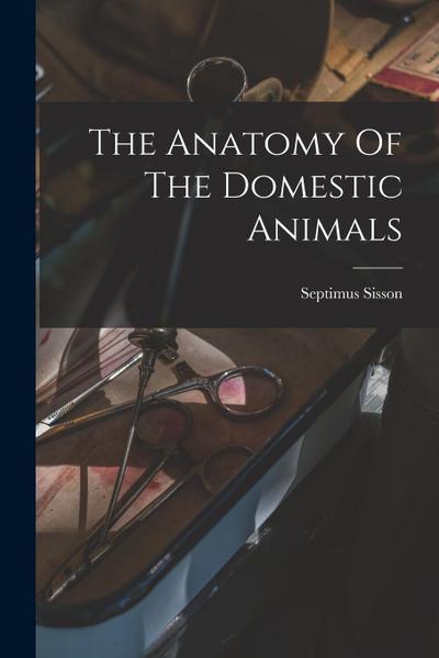 The Anatomy Of The Domestic Animals