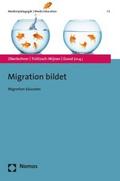 Migration bildet