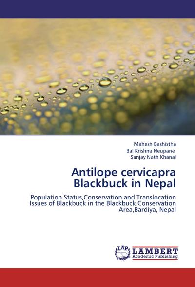 Antilope cervicapra Blackbuck in Nepal