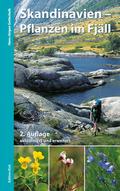 Skandinavien - Pflanzen im Fjäll
