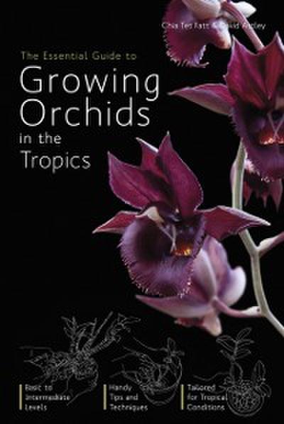 Essential Guide to Growing Orchids