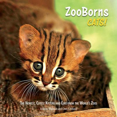 ZooBorns Cats!