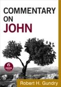 Commentary on John (Commentary on the New Testamen