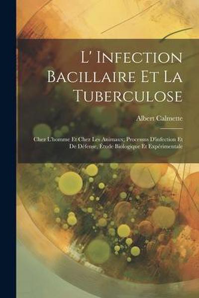 L’ Infection Bacillaire Et La Tuberculose