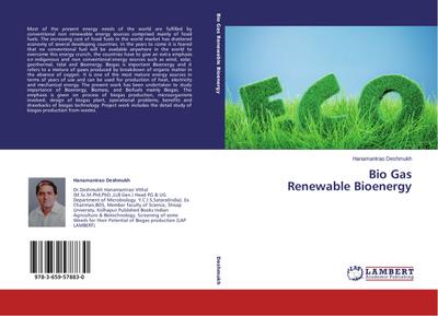 Bio Gas Renewable Bioenergy