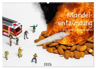 Mandelentzündung ... und andere Mini-Welten (Wandkalender 2026 DIN A2 quer), CALVENDO Monatskalender