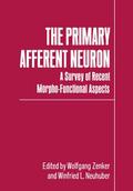 The Primary Afferent Neuron