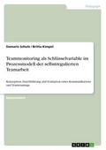Teammonitoring als Schlüsselvariable im Prozessmod
