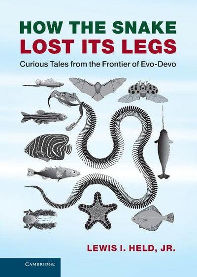 How the Snake Lost Its Legs