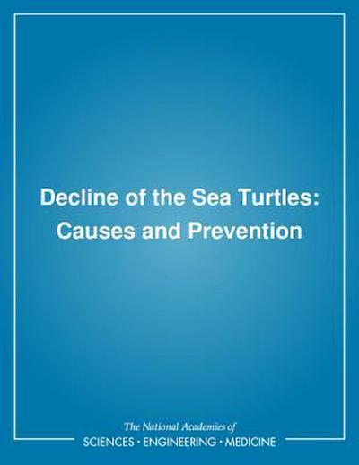Decline of the Sea Turtles