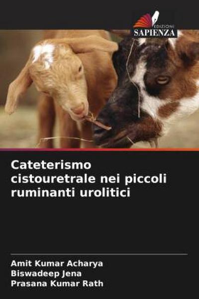 Cateterismo cistouretrale nei piccoli ruminanti urolitici