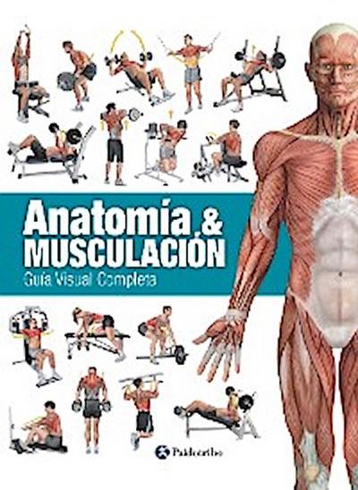 Anatomía & Musculación