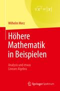 Höhere Mathematik in Beispielen