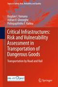 Critical Infrastructures: Risk and Vulnerability A