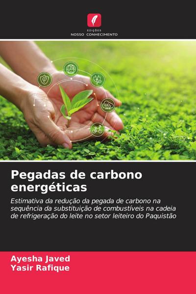 Pegadas de carbono energéticas