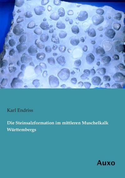 Die Steinsalzformation im mittleren Muschelkalk Württembergs