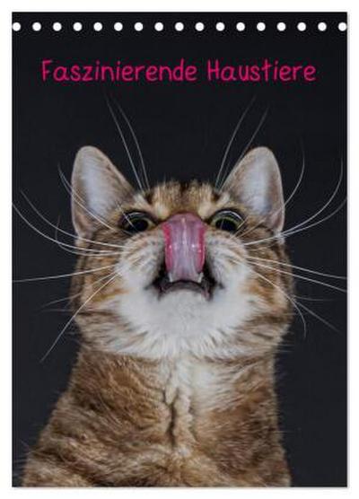Faszinierende Haustiere (Tischkalender 2026 DIN A5 hoch), CALVENDO Monatskalender