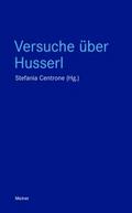 Versuche über Husserl