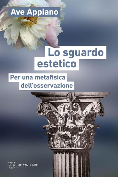 Lo sguardo estetico. Per una metafisica dell’osservazione