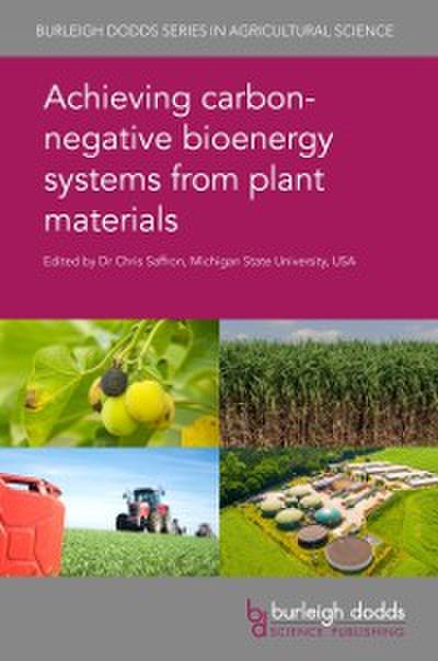 Achieving carbon negative bioenergy systems from plant materials