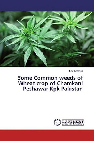 Some Common weeds of Wheat crop of Chamkani Peshawar Kpk Pakistan