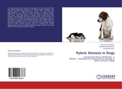 Pyloric Stenosis in Dogs