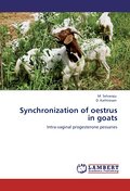 Synchronization of oestrus in goats