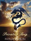 The Privateer Brig (The Money Ship, #2)