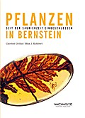 Gröhn, C: Pflanzen in Bernstein