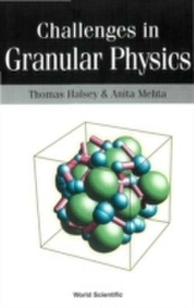 Challenges In Granular Physics