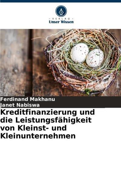 Kreditfinanzierung und die Leistungsfähigkeit von Kleinst- und Kleinunternehmen