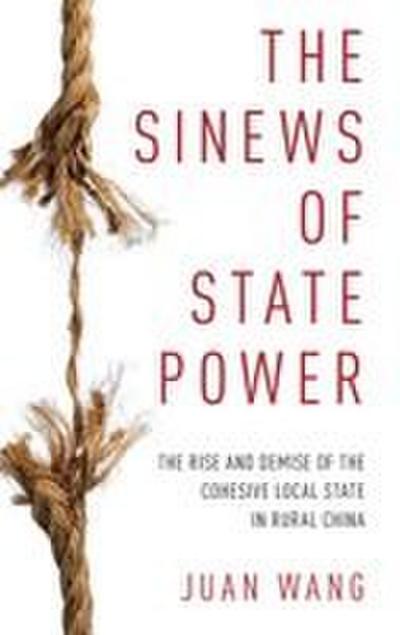 Sinews of State Power