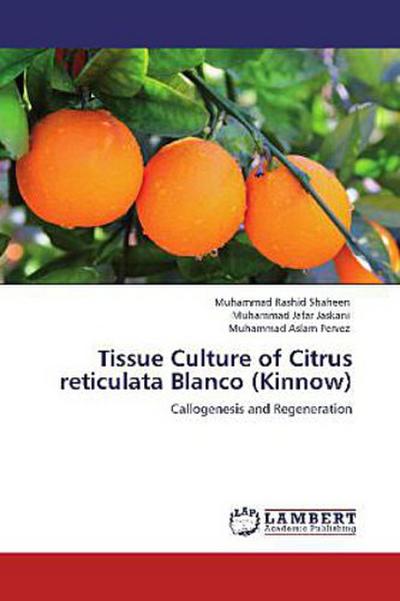 Tissue Culture of Citrus reticulata Blanco (Kinnow)