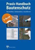 Praxis-Handbuch Bautenschutz - E-Book (PDF)