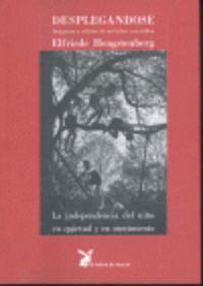 Desplegándose : imágenes y relatos de mi labor con niños