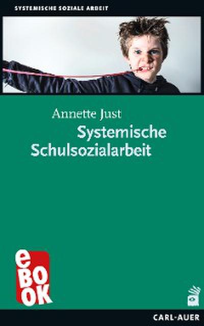 Systemische Schulsozialarbeit