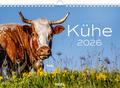 Kühe Kalender 2026 Wandkalender