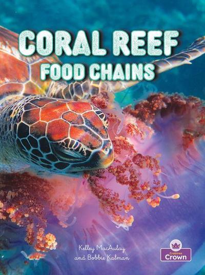Coral Reef Food Chains