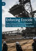 Enforcing Ecocide