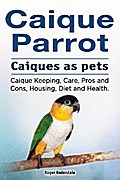 Caique parrot. Caiques as pets. Caique Keeping, Care, Pros and Cons, Housing, Diet and Health.