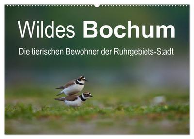 Wildes Bochum (Wandkalender 2026 DIN A2 quer), CALVENDO Monatskalender